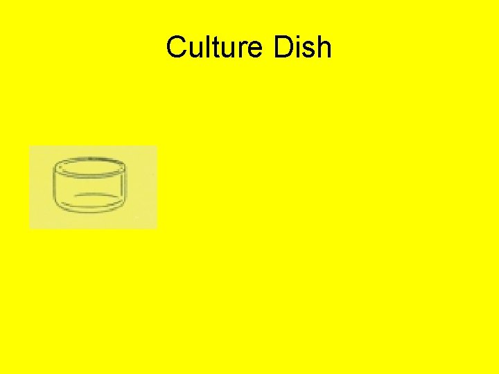 Culture Dish 