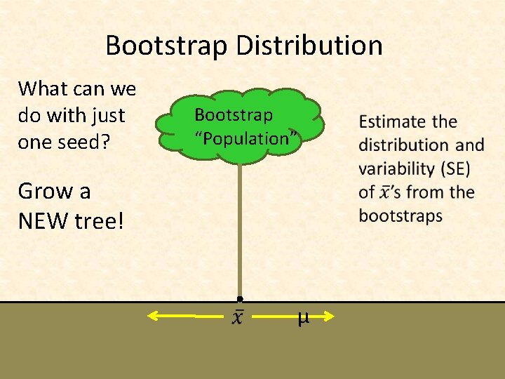 Bootstrap Distribution What can we do with just one seed? Bootstrap “Population” Grow a