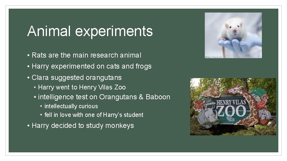 Animal experiments • Rats are the main research animal • Harry experimented on cats