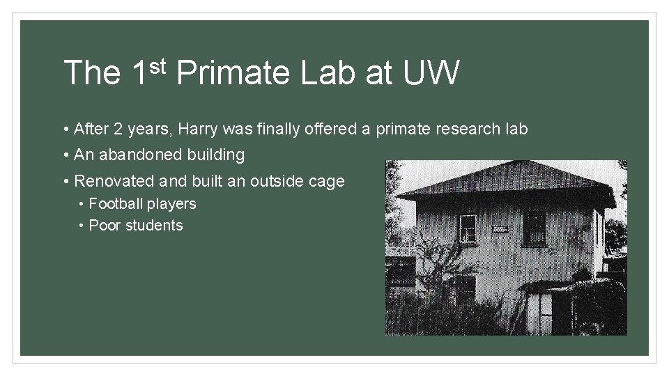 The st 1 Primate Lab at UW • After 2 years, Harry was finally