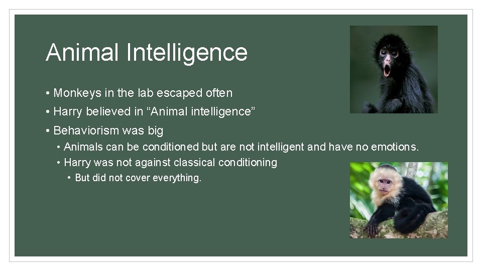 Animal Intelligence • Monkeys in the lab escaped often • Harry believed in “Animal