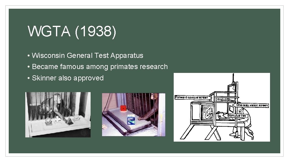 WGTA (1938) • Wisconsin General Test Apparatus • Became famous among primates research •