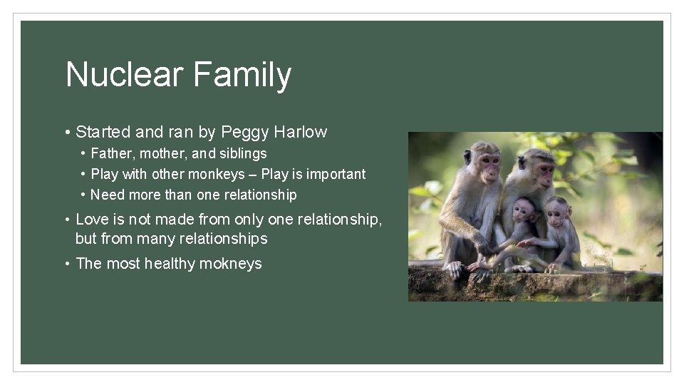 Nuclear Family • Started and ran by Peggy Harlow • Father, mother, and siblings