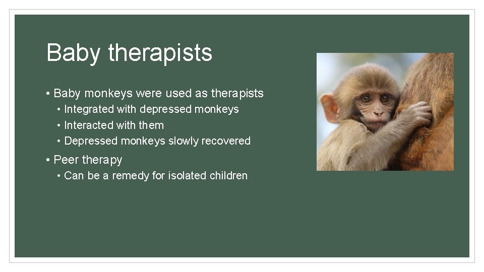 Baby therapists • Baby monkeys were used as therapists • Integrated with depressed monkeys