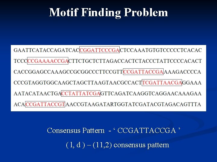 Motif Finding Problem Consensus Pattern - ‘ CCGATTACCGA ’ ( l, d ) –