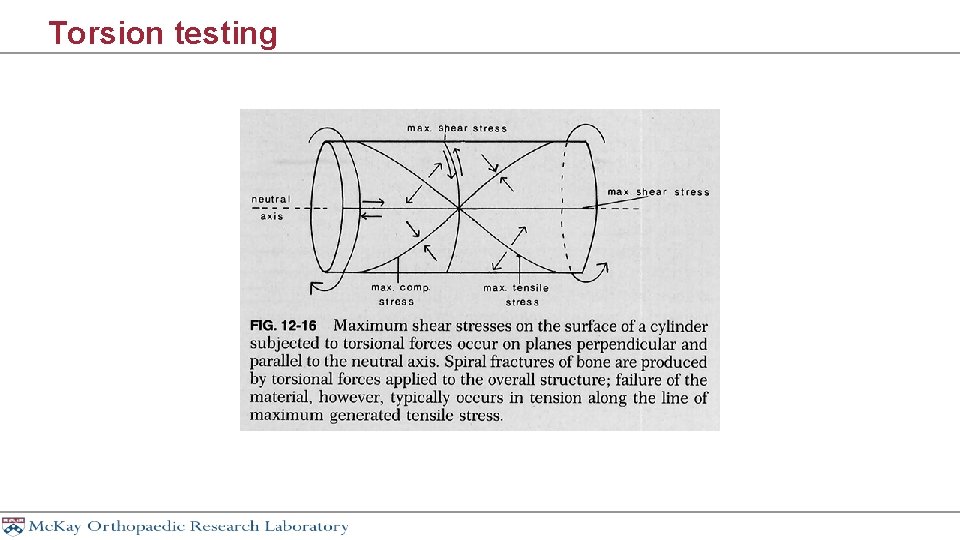 Torsion testing 