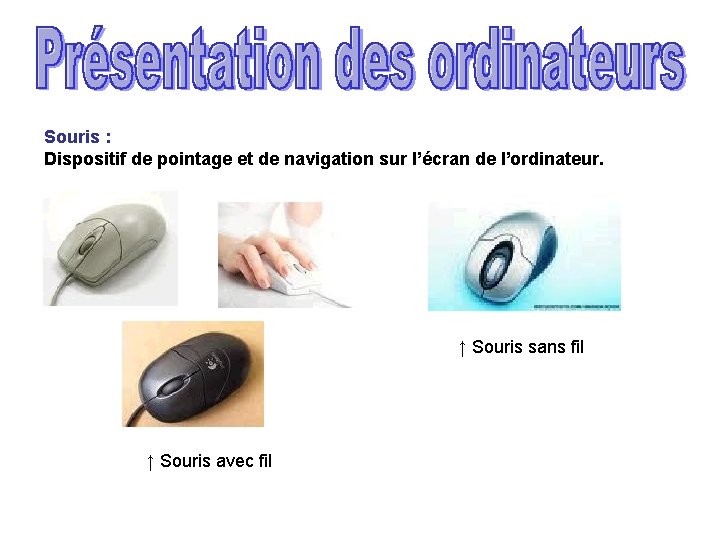 Souris : Dispositif de pointage et de navigation sur l’écran de l’ordinateur. ↑ Souris