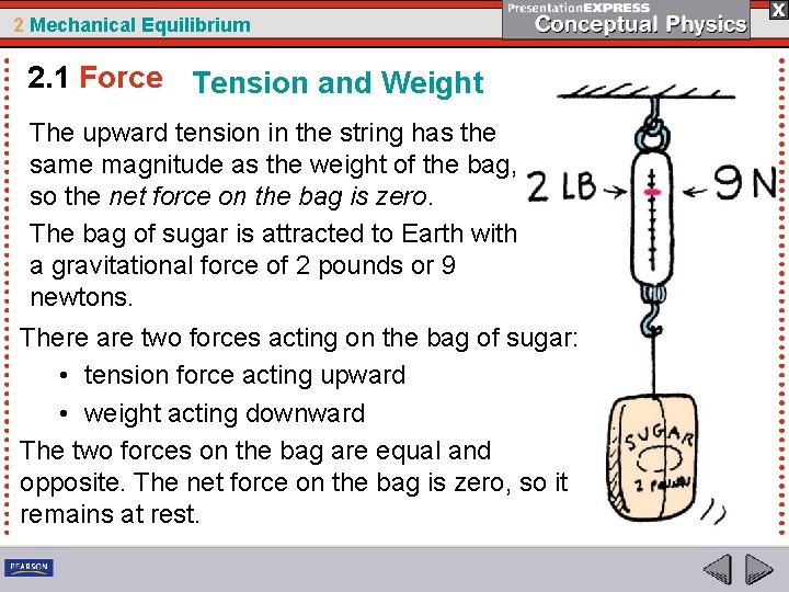 2 Mechanical Equilibrium 2. 1 Force Tension and Weight The upward tension in the