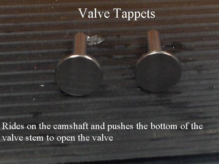 Valve Tappets Rides on the camshaft and pushes the bottom of the valve stem