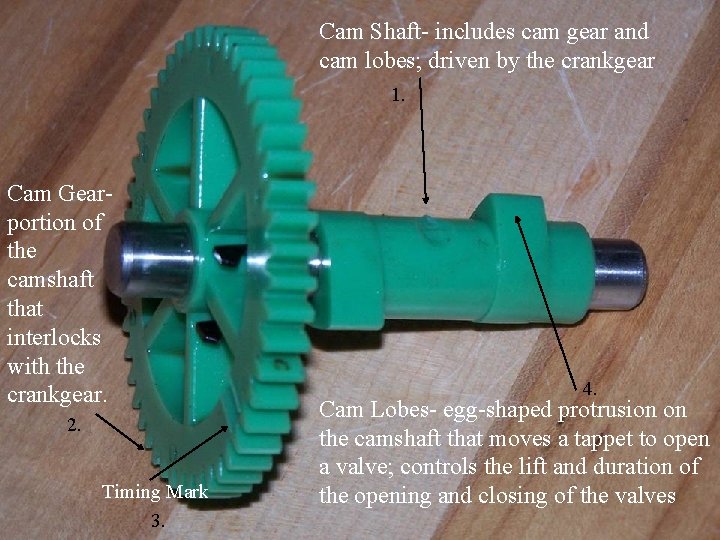 Cam Shaft- includes cam gear and cam lobes; driven by the crankgear 1. Cam