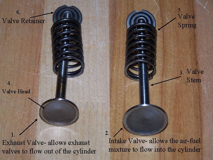 5. 6. Valve Spring Valve Retainer 3. 4. Valve Head 1. Exhaust Valve- allows