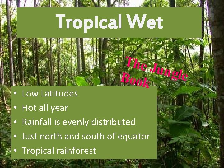 Tropical Wet • • • The J ungle Book Low Latitudes Hot all year