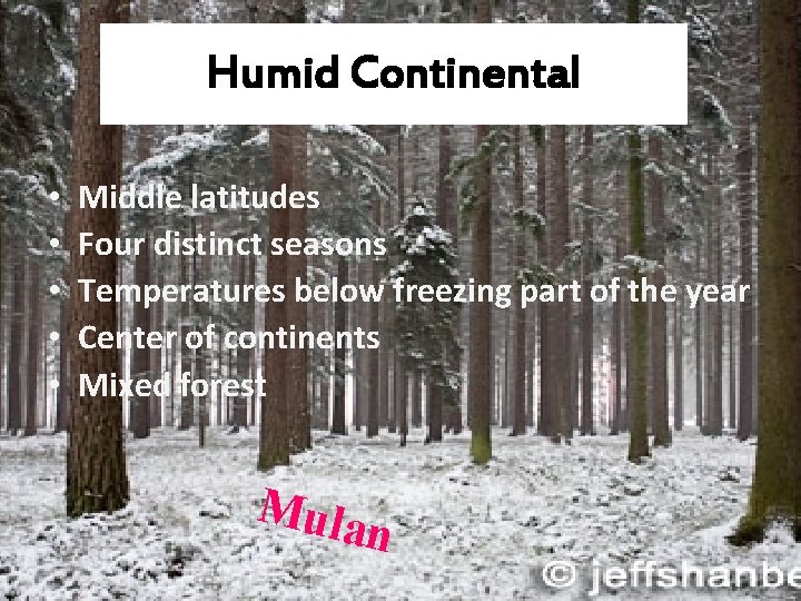 Humid Continental • • • Middle latitudes Four distinct seasons Temperatures below freezing part