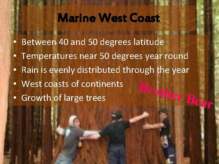 Marine West Coast • • • Between 40 and 50 degrees latitude Temperatures near
