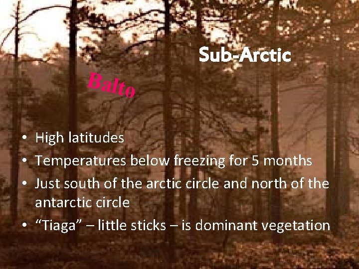 Balto Sub-Arctic • High latitudes • Temperatures below freezing for 5 months • Just