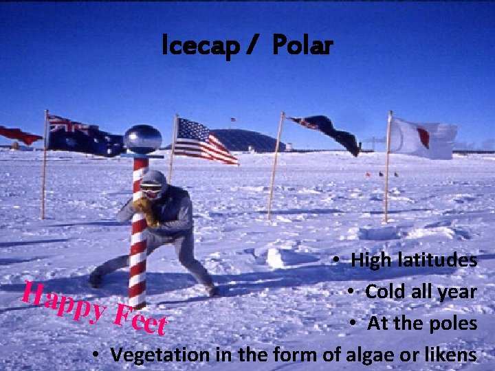 Icecap / Polar • High latitudes • Cold all year Happ y Fee •
