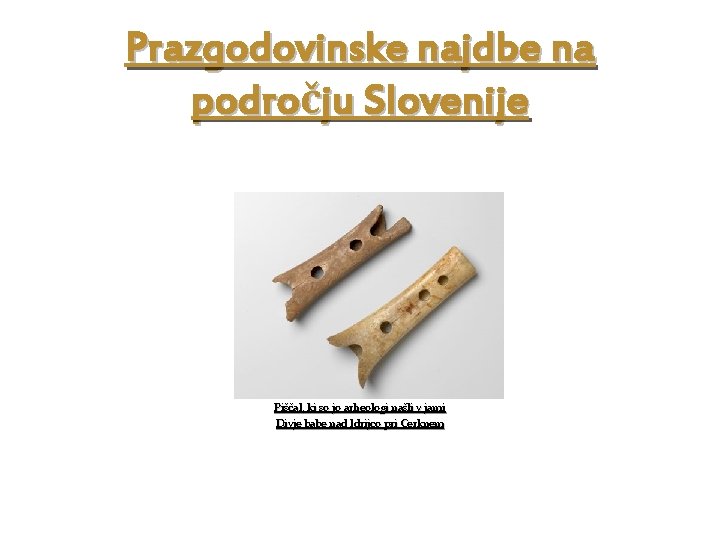 Prazgodovinske najdbe na področju Slovenije Piščal, ki so jo arheologi našli v jami Divje