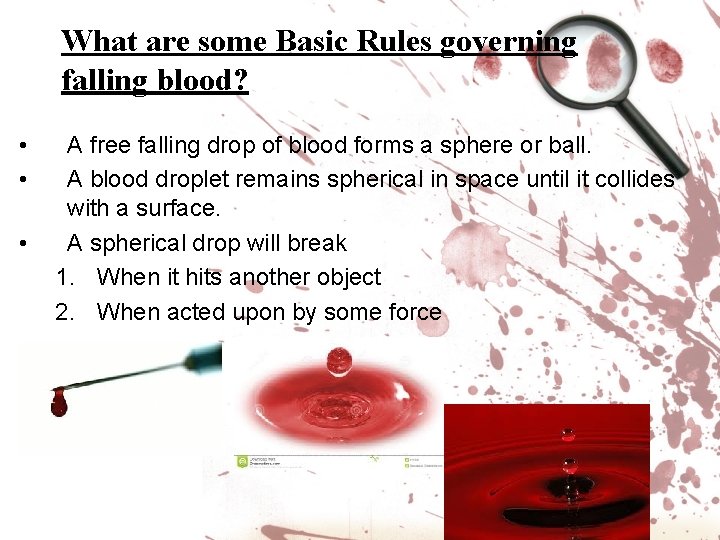 What are some Basic Rules governing falling blood? • • • A free falling