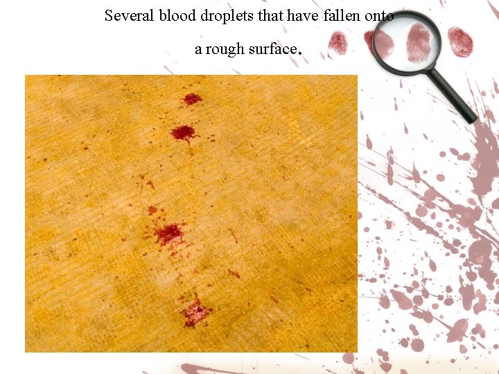 Several blood droplets that have fallen onto a rough surface . 