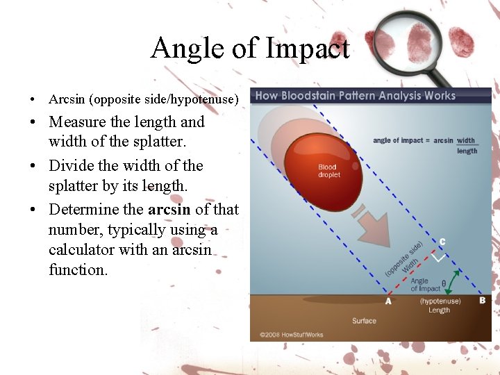 Angle of Impact • Arcsin (opposite side/hypotenuse) • Measure the length and width of