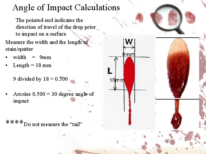 Angle of Impact Calculations The pointed end indicates the direction of travel of the