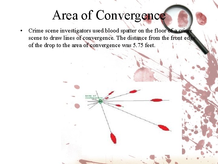 Area of Convergence • Crime scene investigators used blood spatter on the floor of