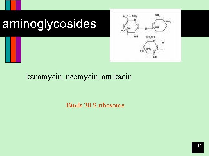 aminoglycosides kanamycin, neomycin, amikacin Binds 30 S ribosome 11 