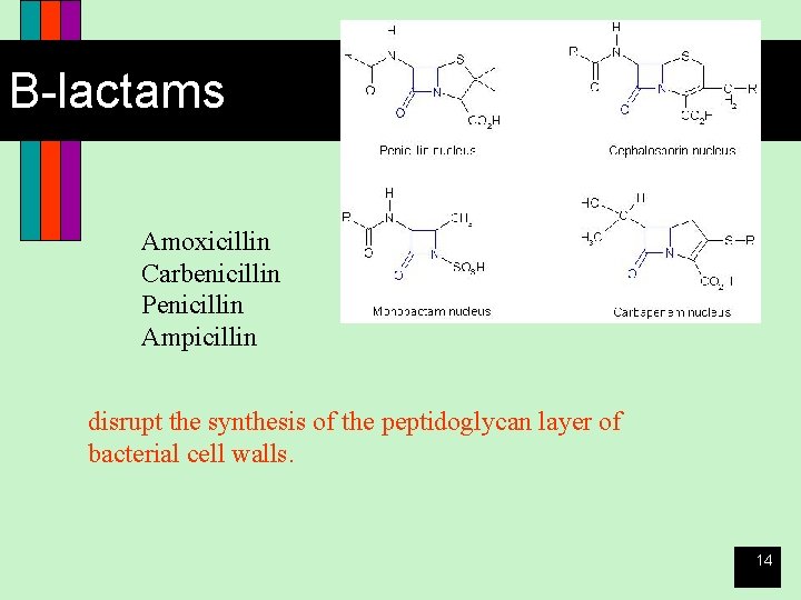 B-lactams Amoxicillin Carbenicillin Penicillin Ampicillin disrupt the synthesis of the peptidoglycan layer of bacterial