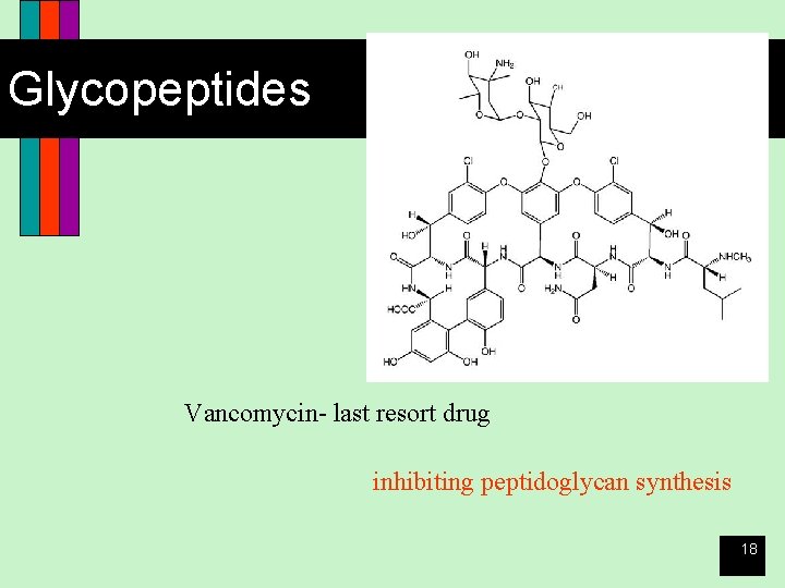 Glycopeptides Vancomycin- last resort drug inhibiting peptidoglycan synthesis 18 