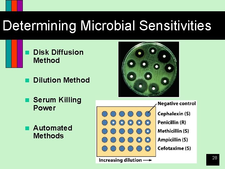 Determining Microbial Sensitivities n Disk Diffusion Method n Dilution Method n Serum Killing Power