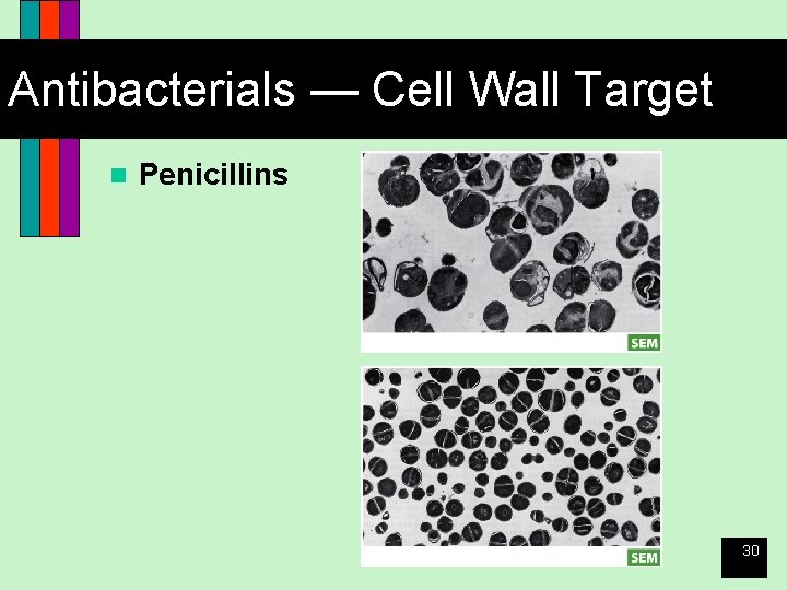 Antibacterials — Cell Wall Target n Penicillins 30 