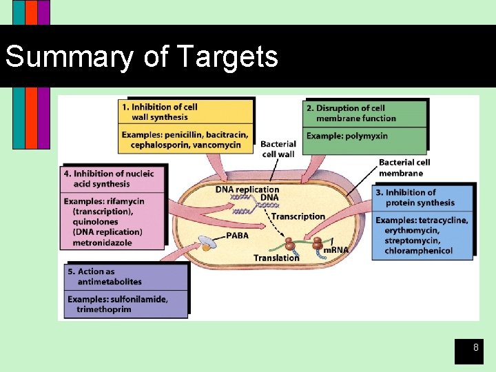 Summary of Targets 8 