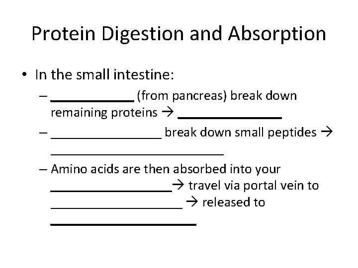 Proteins and Amino Acids Function Follows Form BIOL