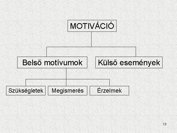 MOTIVÁCIÓ Belső motívumok Szükségletek Megismerés Külső események Érzelmek 19 