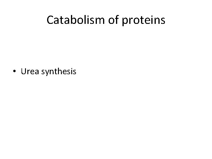 Catabolism of proteins • Urea synthesis 