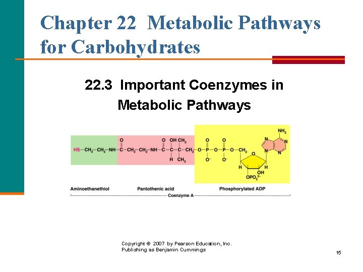 Chapter 22 Metabolic Pathways for Carbohydrates 22. 3 Important Coenzymes in Metabolic Pathways Copyright