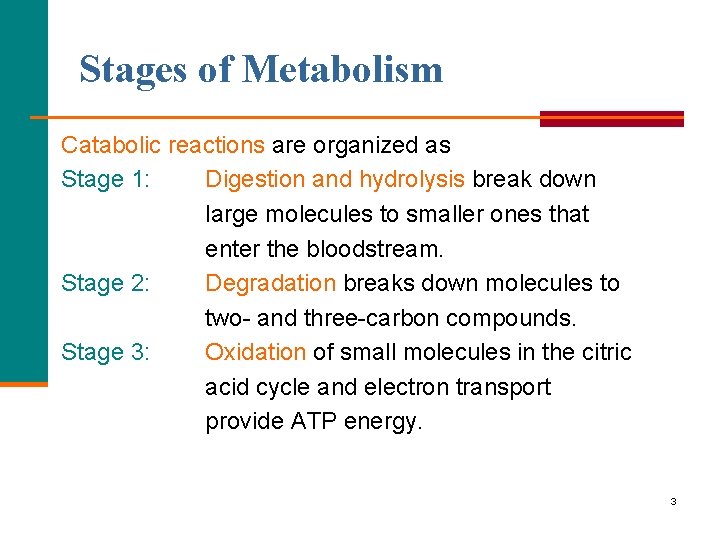Stages of Metabolism Catabolic reactions are organized as Stage 1: Digestion and hydrolysis break