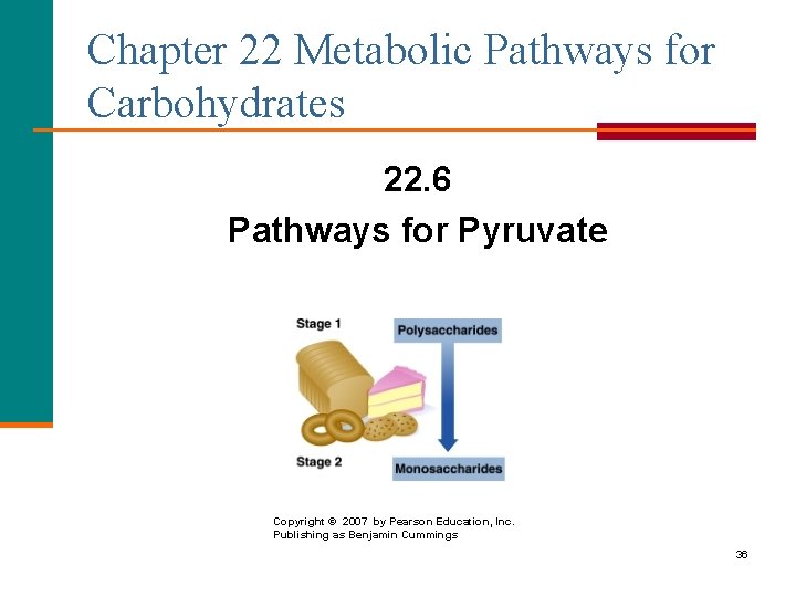 Chapter 22 Metabolic Pathways for Carbohydrates 22. 6 Pathways for Pyruvate Copyright © 2007