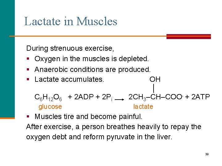 Lactate in Muscles During strenuous exercise, § Oxygen in the muscles is depleted. §