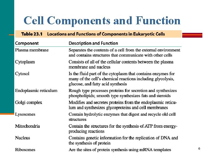 Cell Components and Function 6 
