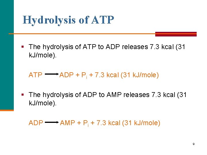 Hydrolysis of ATP § The hydrolysis of ATP to ADP releases 7. 3 kcal