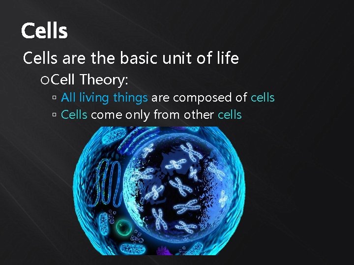 CELL STRUCTURE PH Exercise 3 31 48 BSC