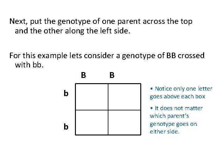 Next, put the genotype of one parent across the top and the other along