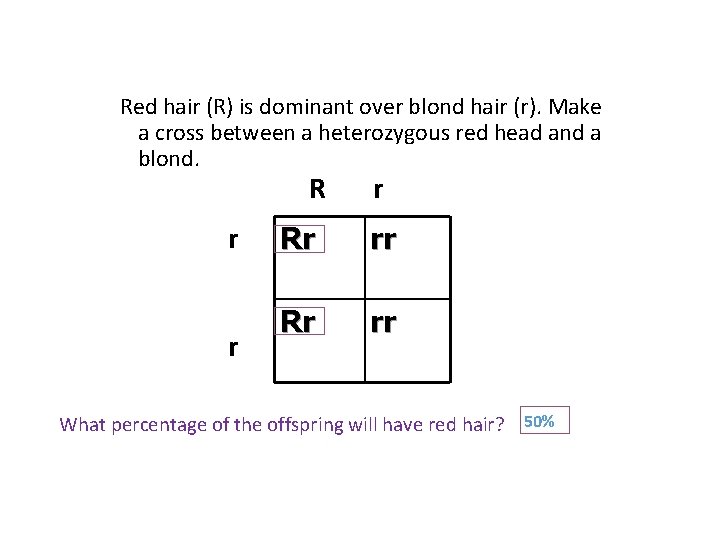 Red hair (R) is dominant over blond hair (r). Make a cross between a