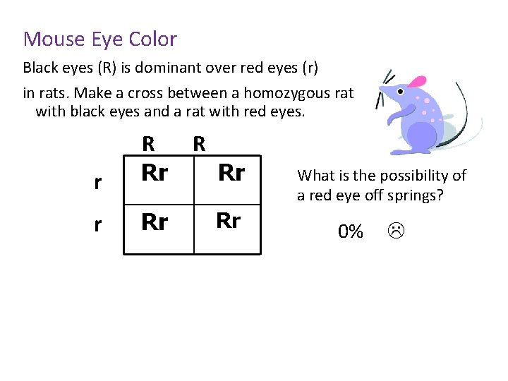 Mouse Eye Color Black eyes (R) is dominant over red eyes (r) in rats.