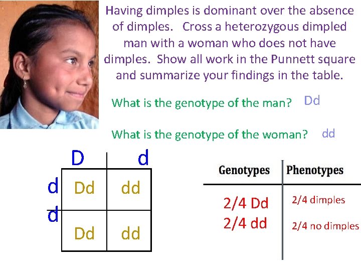 Having dimples is dominant over the absence of dimples. Cross a heterozygous dimpled man