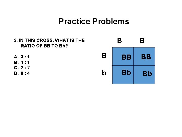 Practice Problems B 5. IN THIS CROSS, WHAT IS THE RATIO OF BB TO