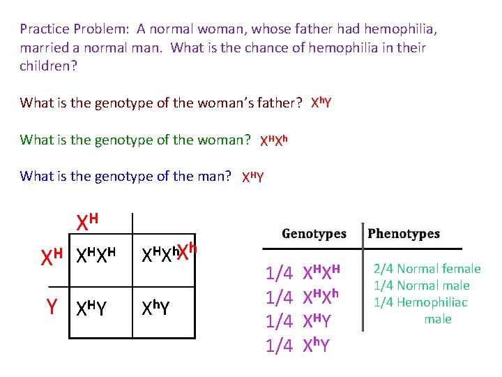 Practice Problem: A normal woman, whose father had hemophilia, married a normal man. What