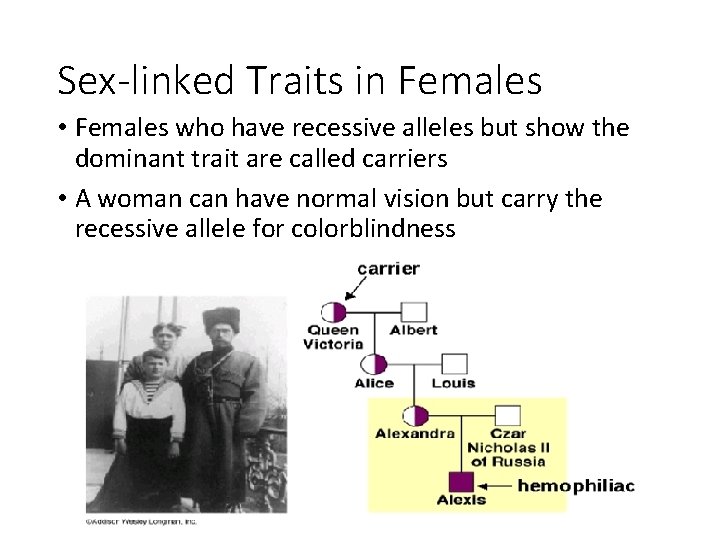 Sex-linked Traits in Females • Females who have recessive alleles but show the dominant
