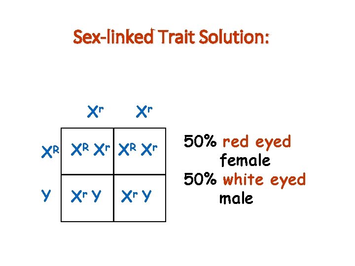 Sex-linked Trait Solution: Xr XR XR Xr Y Xr XR Xr Xr Y 50%